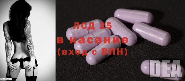 эйфоретик Алзамай