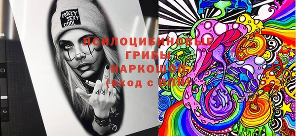 эйфоретик Алзамай