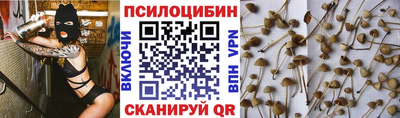 Псилоцибиновые грибы ЛСД  купить наркотик  Анжеро-Судженск 